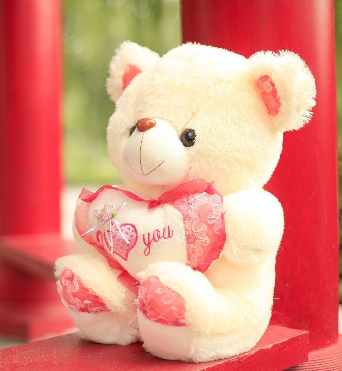 Loving Teddy